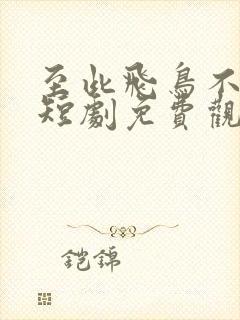 至此飞鸟不相逢短剧免费观看大结局视频