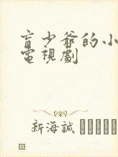 盲少爷的小女仆电视剧封面