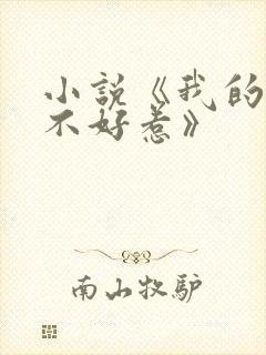 小说《我的医妃不好惹》