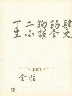 丁二狗的肆意人生小说全文无删减封面