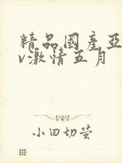 精品国产亚洲av激情五月