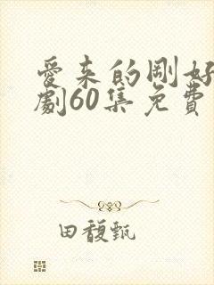 爱来的刚好电视剧60集免费观看