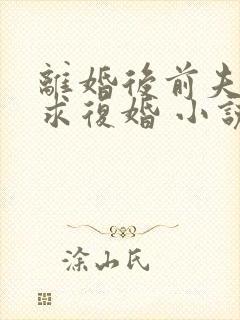 离婚后前夫哭着求复婚 小说阅读