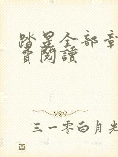 踏星全部章节免费阅读