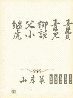 继父柳青青 王虎小说免费阅读