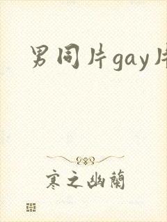 男同片gay片封面