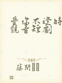 爱你不逢时免费观看短剧