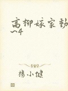 高柳嫁家动漫1~4