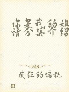 你是我的姐妹剧情分集介绍