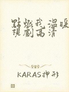 点燃我温暖你电视剧高清