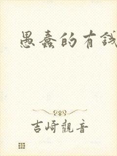 愚蠢的有钱人封面