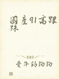 国产91高跟丝袜