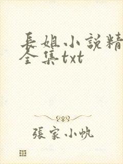 长姐小说精校版全集txt