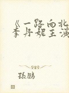 《一路向北》王李丹妮主演的电影封面