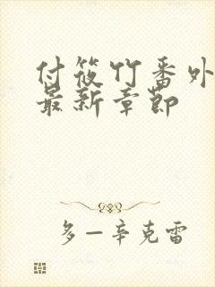 付筱竹番外篇的最新章节