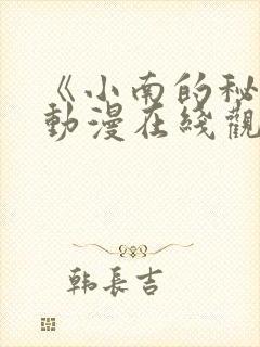 《小南的秘密》动漫在线观看全集免