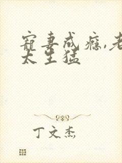 宠妻成瘾,老公太生猛