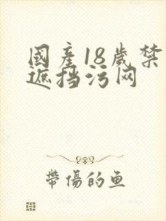 国产18岁禁无遮挡污网封面