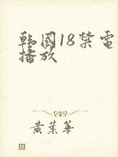 韩国18禁电影播放