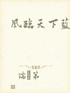 凰临天下蓝九九