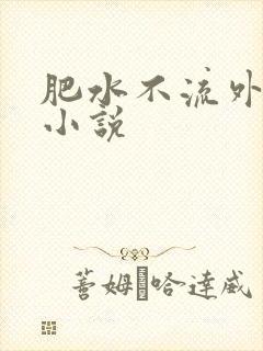 肥水不流外人田小说