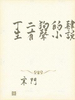 丁二狗的肆意人生有声小说