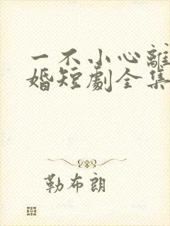 一不小心离错了婚短剧全集