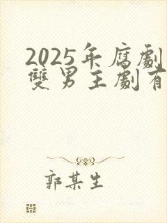 2025年腐剧双男主剧有哪些