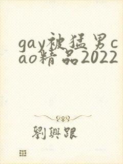 gay被猛男cao精品2022