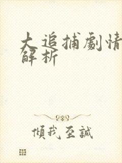 大追捕剧情深度解析封面