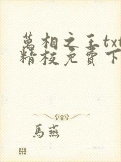 万相之王txt精校免费下载