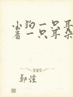 小狗一只耳朵立着一只耳朵耷拉着