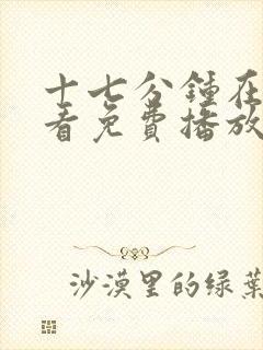 十七分钟在线观看免费播放电视剧