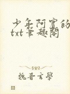 少年阿宾的小说txt笔趣阁封面