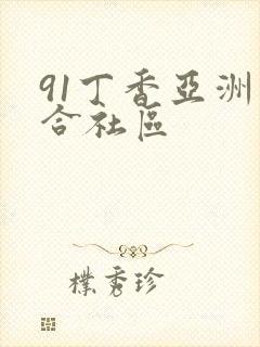 91丁香亚洲综合社区
