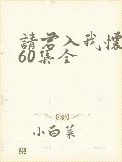 请君入我怀短剧60集全