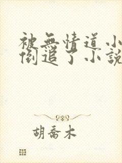 被无情道小师弟倒追了小说封面