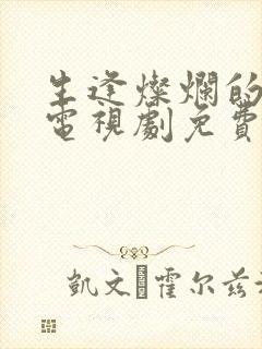 生逢灿烂的日子电视剧免费看