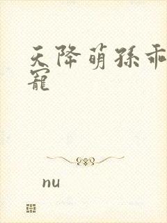 天降萌孙乖乖受宠