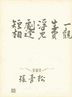 短剧浮生一别又相逢免费观看封面