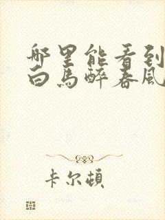 哪里能看到少年白马醉春风封面