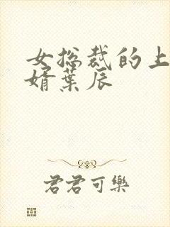 女总裁的上门女婿叶辰