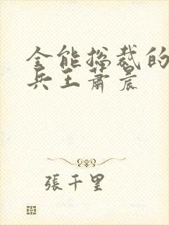 全能总裁的全能兵王萧晨