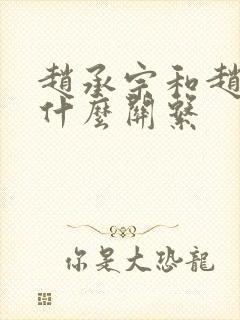 赵承宗和赵匡胤什么关系封面