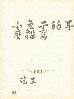 小兔子的耳朵怎么描写