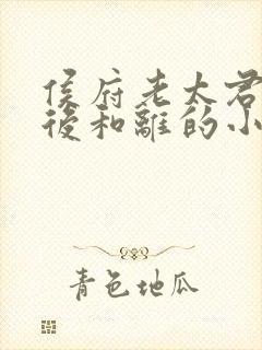 侯府老太君重生后和离的小说