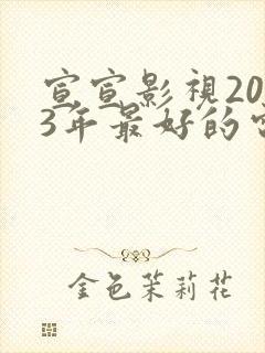 宣宣影视2023年最好的电视剧封面