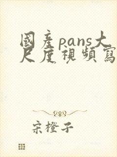 国产pans大尺度视频写真