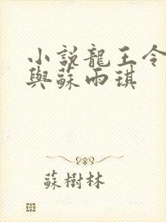 小说龙王令陈平与苏雨琪封面