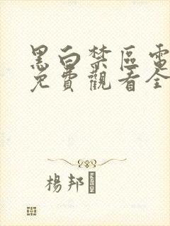 黑白禁区电视剧免费观看全集高清